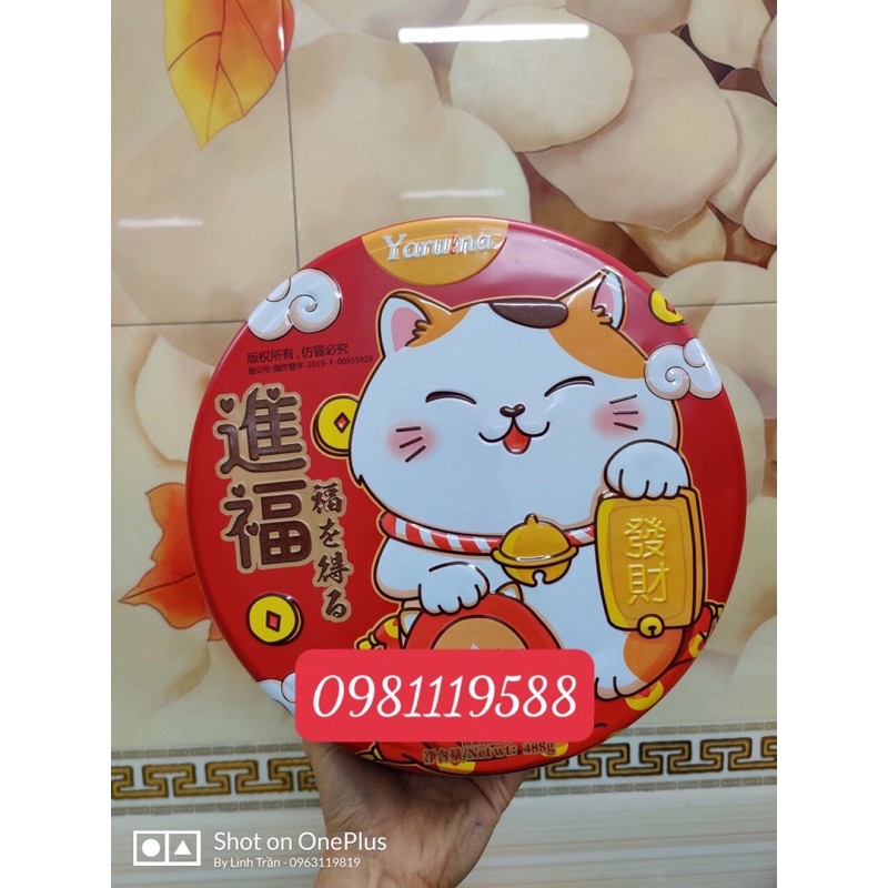 Sỉ 1 thùng bánh quy Mèo thần tài hộp tròn hộp vuông | BigBuy360 - bigbuy360.vn