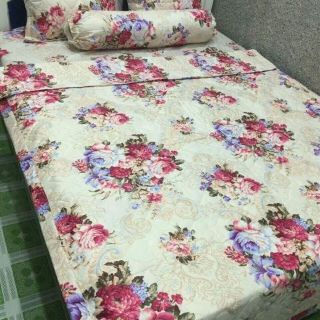 Chăn Ga Gối Poly 1m6