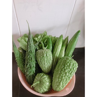 Hạt giống mướp đắng trái tim
