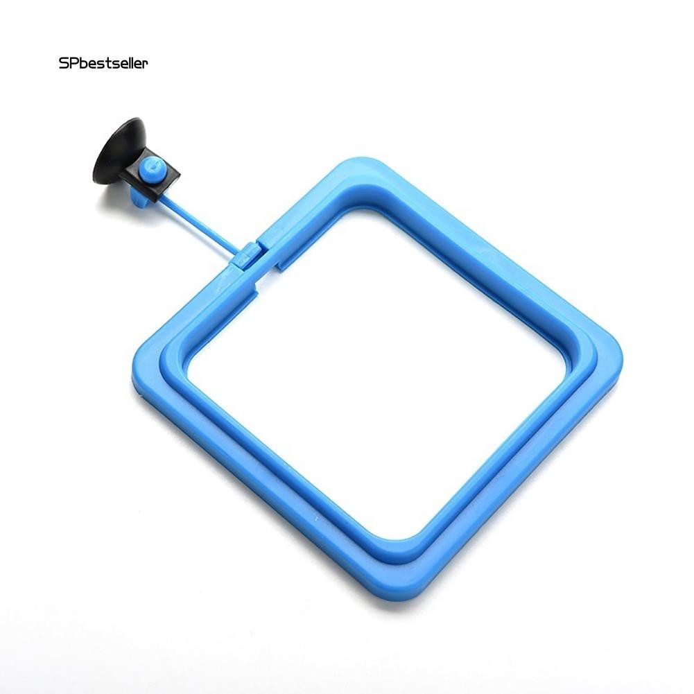 Phao nổi cho cá ăn tiện lợi chuyên dùng