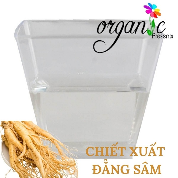 CHIẾT XUẤT ĐẲNG SÂM (VIỆT NAM)