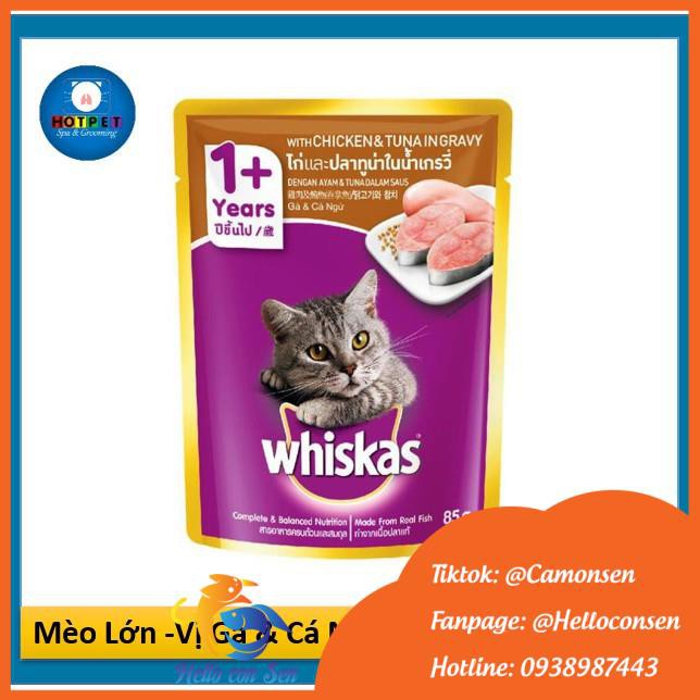 Pate Whiskas 80g cho mèo con và mèo lớn - Hỗ trợ cho các bé biếng ăn