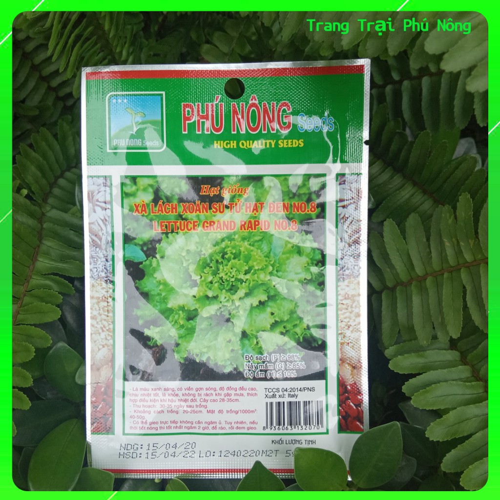 Hạt Giống Xà Lách Xoăn Sư Tử Hạt Đen No.8 Phú Nông - Gói 5g - Grand Rapids Lettuce