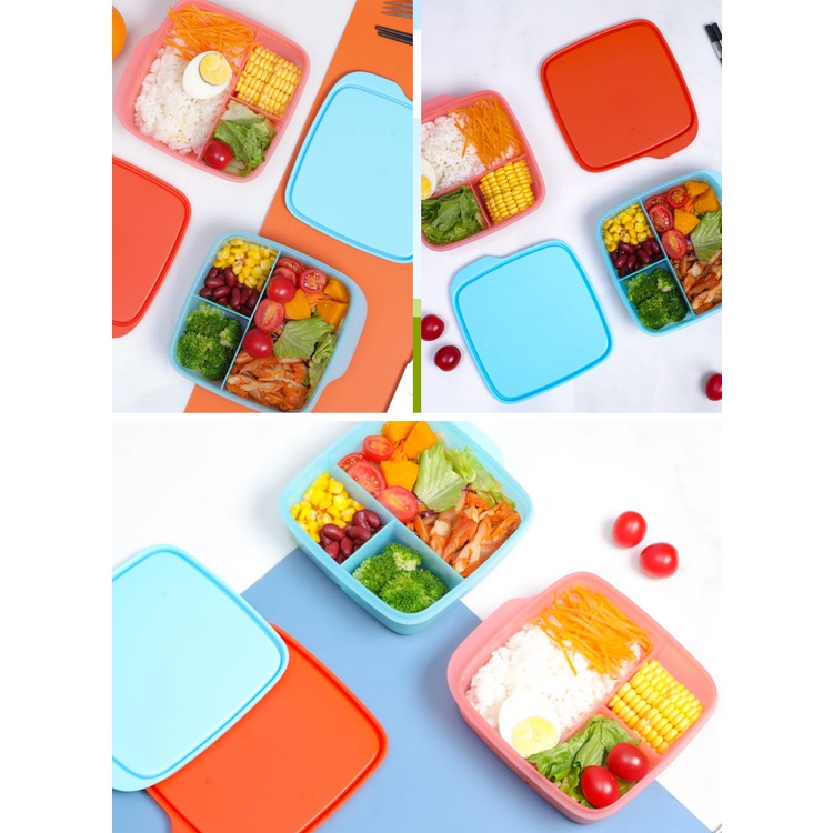 Hộp cơm chia ngăn cho bé, văn phòng LollyTup 550ml Tupperware chính hãng, CAMIHOME phân phối