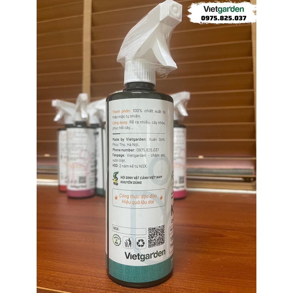 Chế phẩm kích rễ sen đá