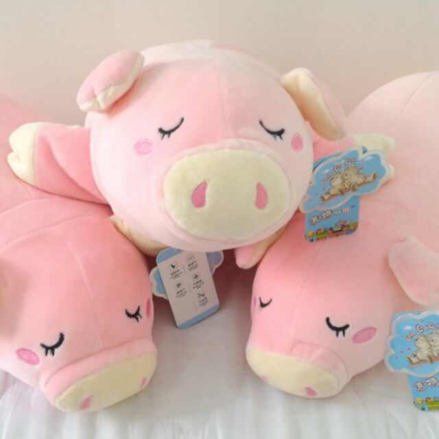 Heo hồng nằm little cucu