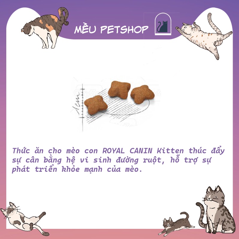 Hạt Royal Canin Kitten cho mèo con bao 10kg