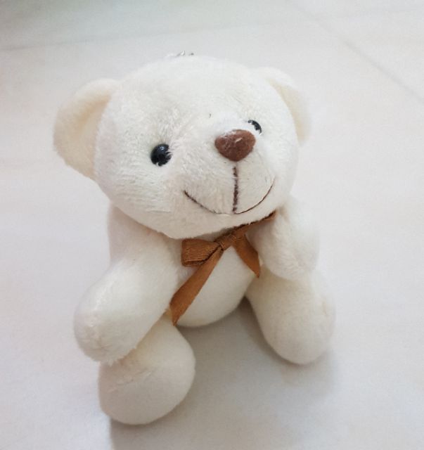 Gấu Teddy nơ