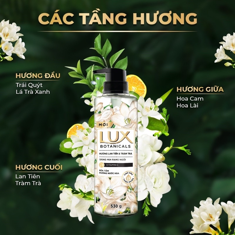 Combo sữa tắm LUX hương nước hoa phong lan quyến rủ 530g