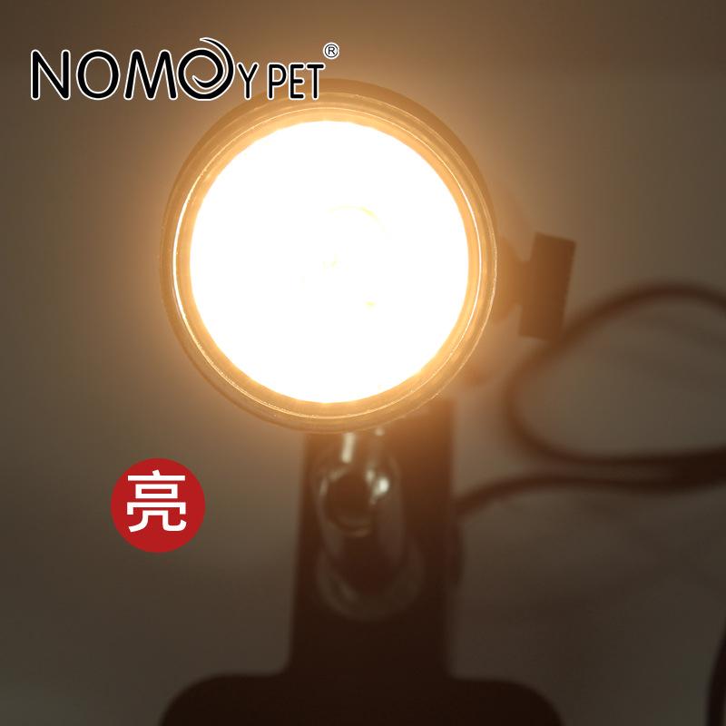 Đèn Sưởi Ấm Cho Rùa