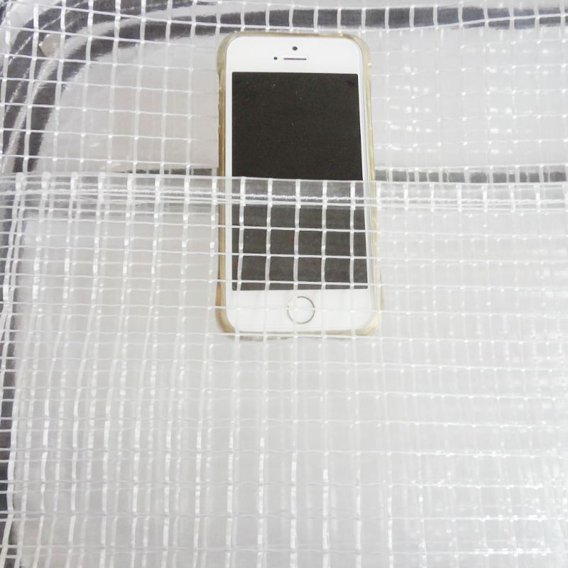 Túi Đeo Chéo Trong Suốt Chống Tĩnh Điện Thời Trang Đi Biển Mùa Hè