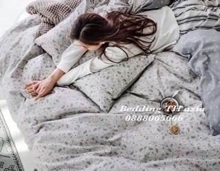 bộ chăn ga gối cotton 4 món