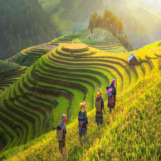 [EVoucher Vietravel] Hà Nội - Sapa - Bản Cát Cát - Fansipan - Cổng Trời Ô Quy Hồ