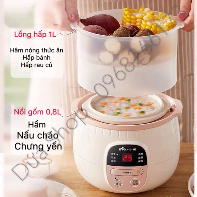 Nồi nấu chậm/ Nồi cách thuỷ Bear