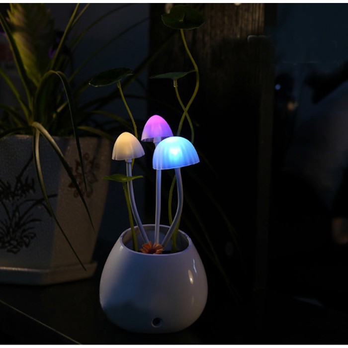 Đèn ngủ cảm ứng hình nấm AVATAR