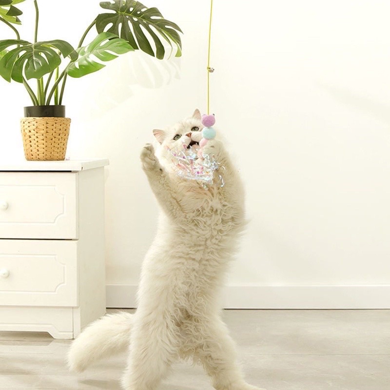 Đồ chơi dán tường trêu thú cưng dễ thương