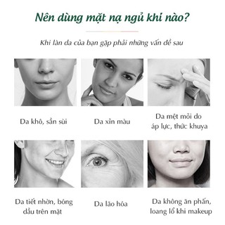 Mặt Nạ Ngủ Collagen Thirteen Ladys