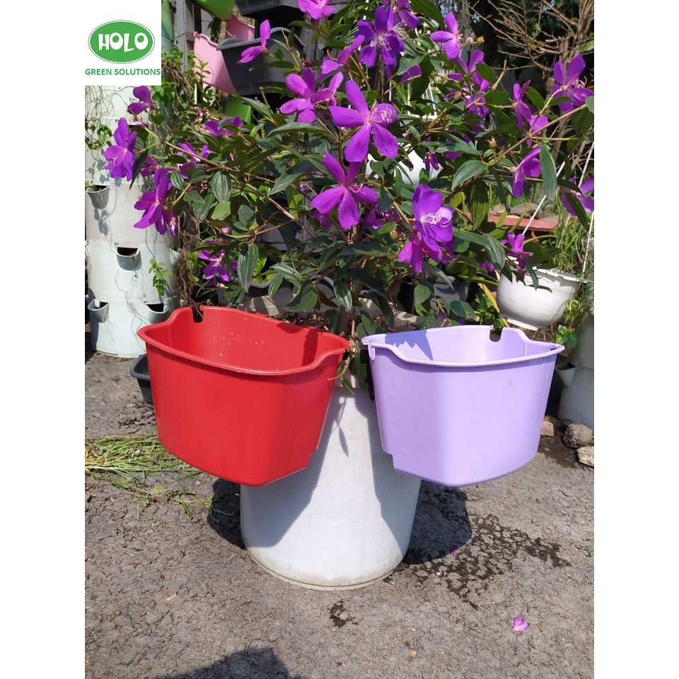 Chậu Nhựa Vườn trên tường, Vườn Đứng HOLO GREEN 16