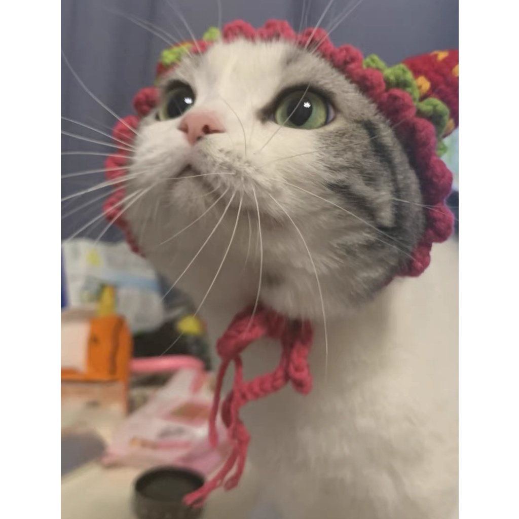 Mũ len cho chó mèo dâu tây, mũ len handmade CHILLMEOW
