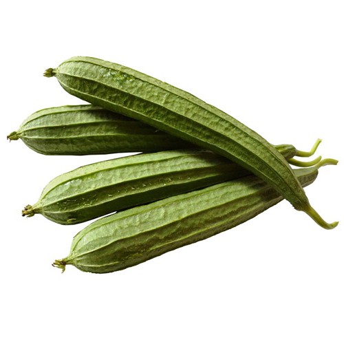 Hạt giống MƯỚP KHÍA LAI F1