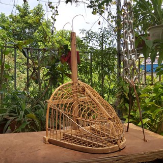 Lồng bẫy chim khuyên 1 mặt TUHAVA