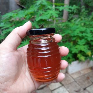 Mật ong nguyên chất Hương Rừng hương Chôm Chôm