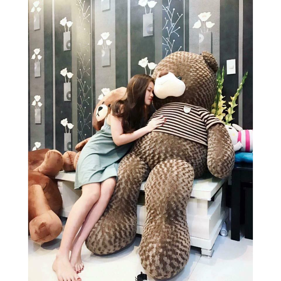 Gấu bông Teddy Cao Cấp khổ vải 2m Cao 1,8m màu Nâu Khói hàng VNXK