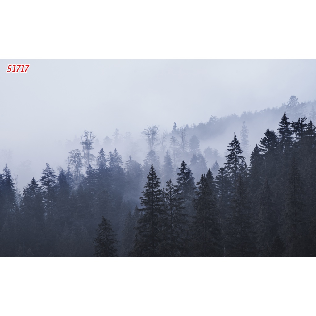 Tranh dán tường Hàn Quốc Trà chanh cao cấp hình cây hoa lá 3D hiện đại, nhiều mẫu