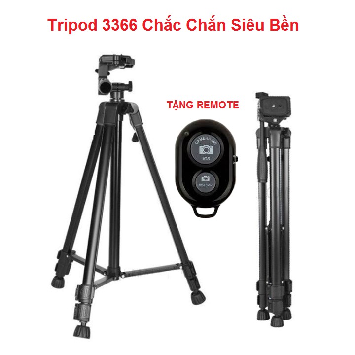 Tripods máy Ảnh, Giá Đỡ Điện Thoại 3366 Cao 1m5 Chắc Chắn - Tặng Kẹp Điện Thoại Và Remote Bluetooth