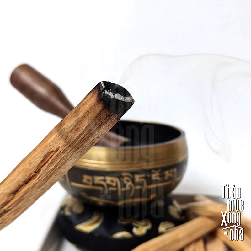 Palo Santo Ecuador Mùi Vani, Dầu Dừa, Quế - THẢO MỘC XÔNG NHÀ