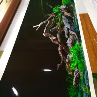 Tranh 3D bể cá