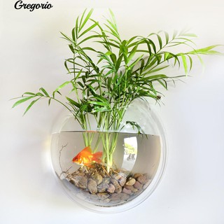Chậu Cây Cảnh Treo Tường