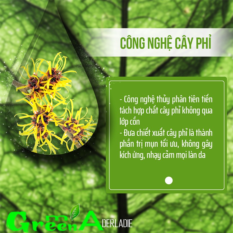 Tẩy Trang DERLADIE [ CHAI 1 LÍT] Cleansing Water Witch Hazel Nước Tẩy Trang Cây Phỉ Đầu Tiên Cho Mọi Loại Da Nhập Khẩu