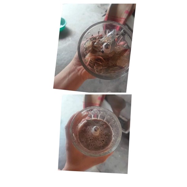 🎁Combo ăn dặm nồi nấu cháo chậm BEAR 0,8l và máy xay HATTIECS 0,3l bản 6 lưỡi xay