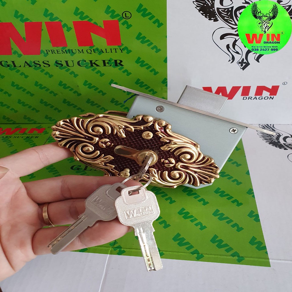 Khóa âm đồng đúc lắp cửa nhôm thủy lực và cửa gỗ màu RG mẫu 2023