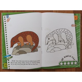 Bé tô màu 2-6+ (Bộ 12 Cuốn)