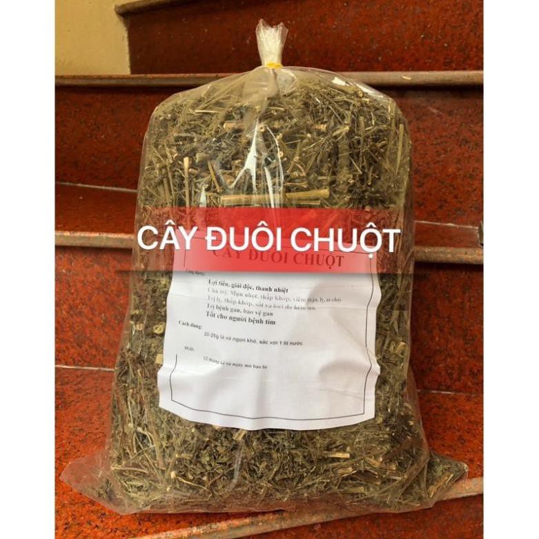 1kg cây đuôi chuột (cây mạch lạc) điều trị tiểu đường, ho, viêm tiết niệu