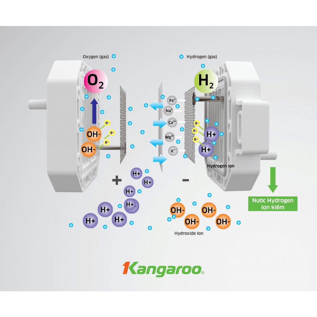 Máy lọc nước Hydrogen ion kiềm Chính Hãng Kangaroo KG100ES