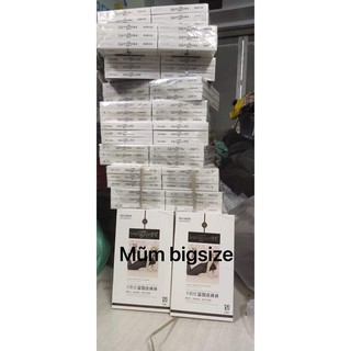 [M.U.M BIgsize] Quần tất đen