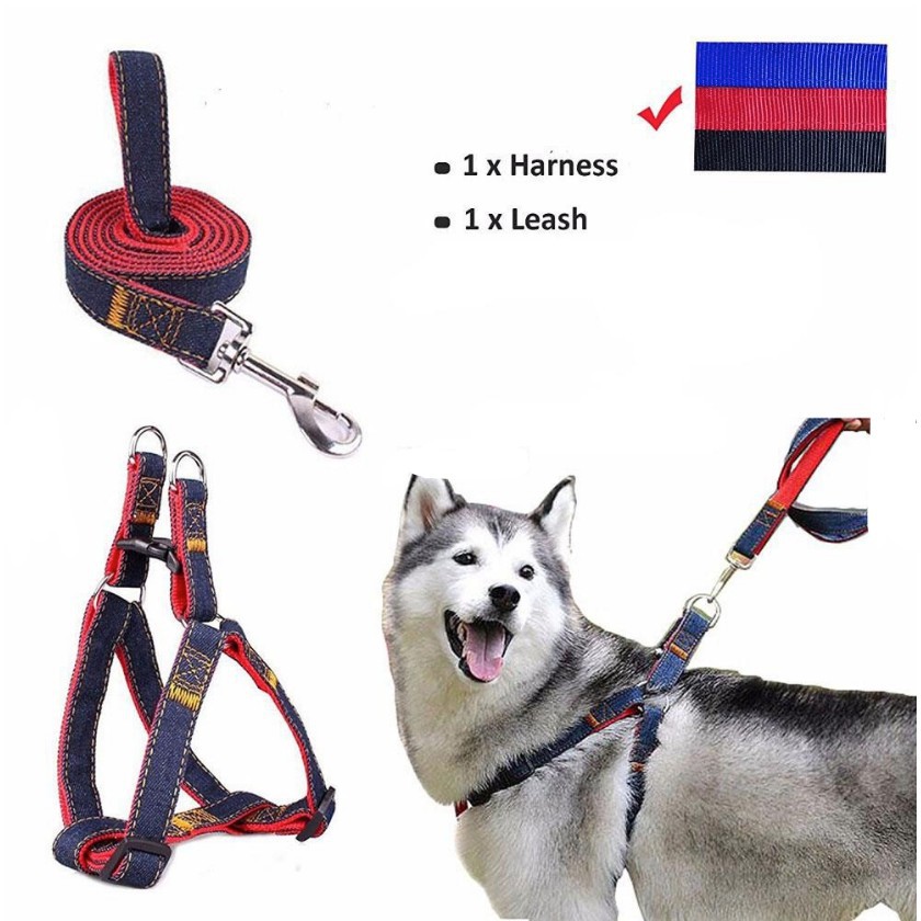 Dây dắt chó vải bò - Vải Jean Loại dây dắt kèm Yếm ngực cho mọi loại chó mèo Màu Ngẫu Nhiên