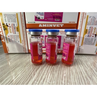 Bổ máu gà đá 10ml