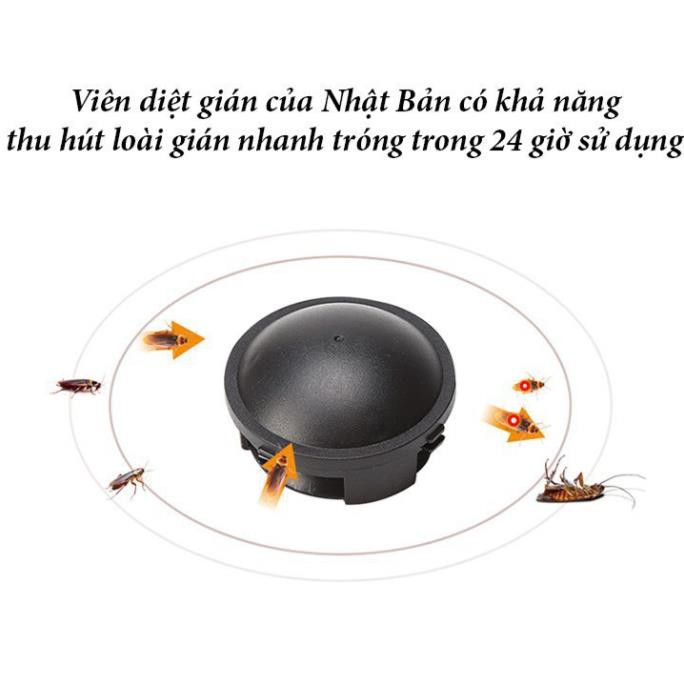 Hộp 12 viên diệt dán diệt gián Nhật (bán hộp)