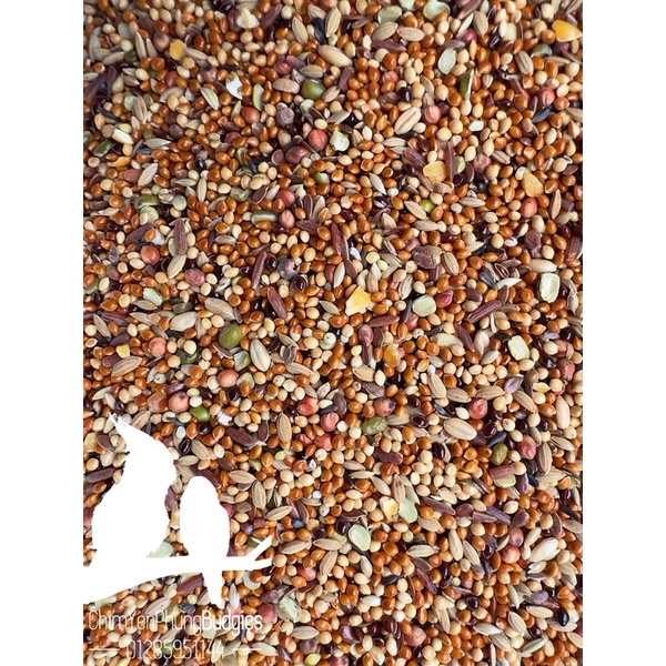 Ngũ cốc cao cấp [trên 15 loại hạt] cho Cu Gáy • Bồ Câu • Chim Cảnh.