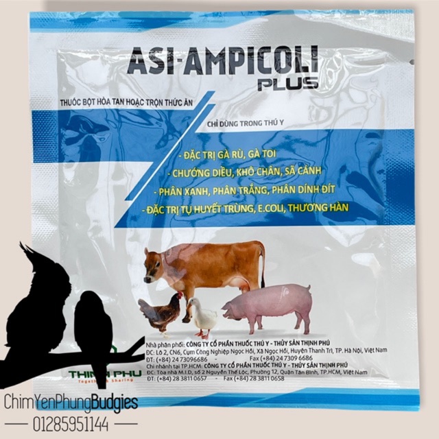 AS-AMPICOLI PLUS CHUYÊN TRI GÀ RÙ, chướng diều, khô chân, ecoli, thương hàn.