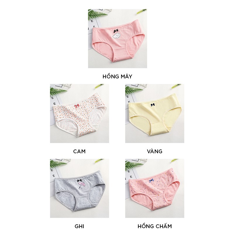 Quần lót nữ cotton cao cấp co giãn kháng khuẩn in hình đáng yêu dễ thương QL44 | BigBuy360 - bigbuy360.vn