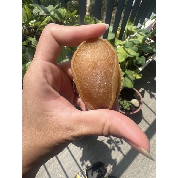 Bào Ngư size khủng