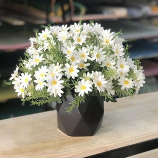 Hoa giả- cúc họa mi điểm rong cụm 24 BÔNG 6 nhánh .