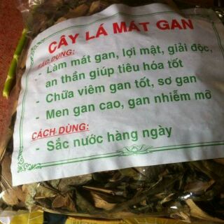 [FREESHIP 99K TOÀN QUỐC] Cây lá mát gan sapa