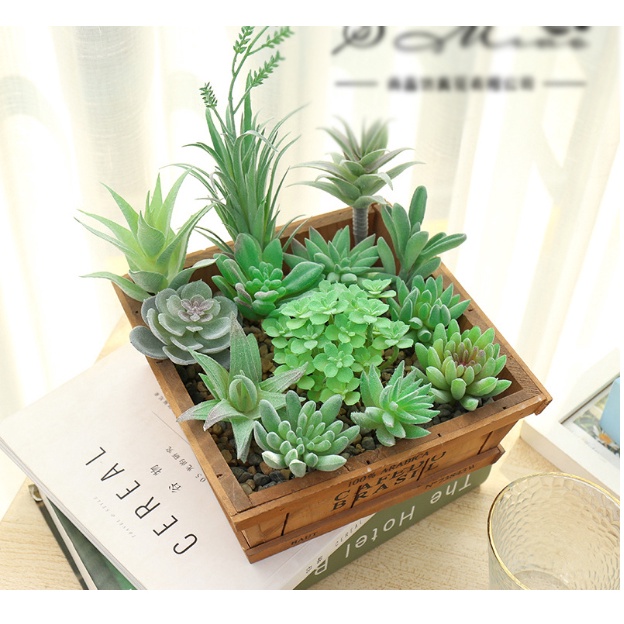 Cây sen đá giả giống thật có nhiều mẫu trang trí mang lại không gian thư giãn cho ngôi nhà của bạn