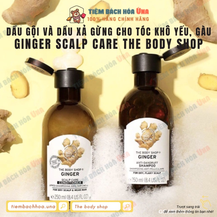 Dầu gội và dầu xả gừng chăm sóc tóc gàu, bết The body shop Ginger Anti-Dandruff